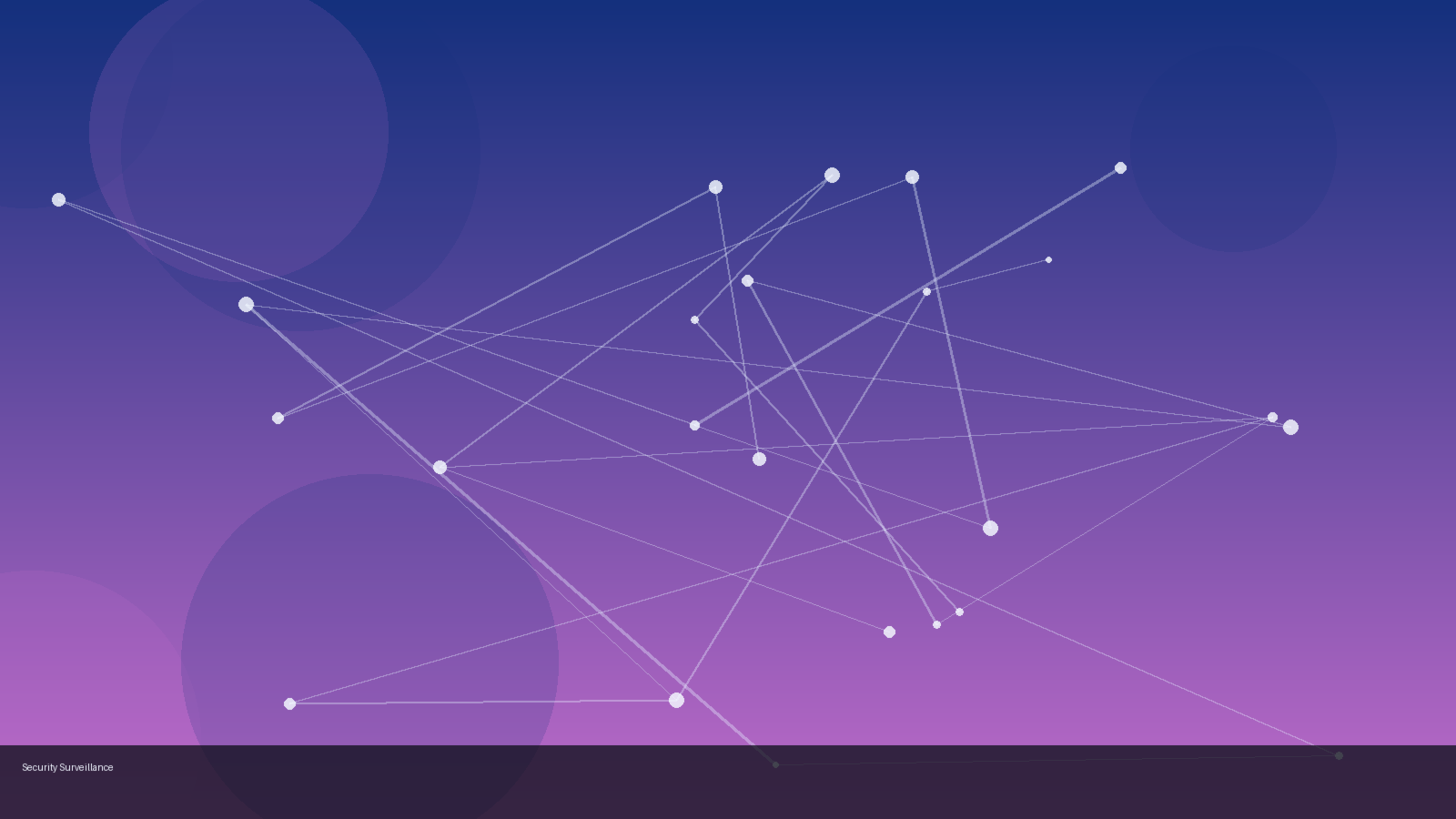 Security & Surveillance