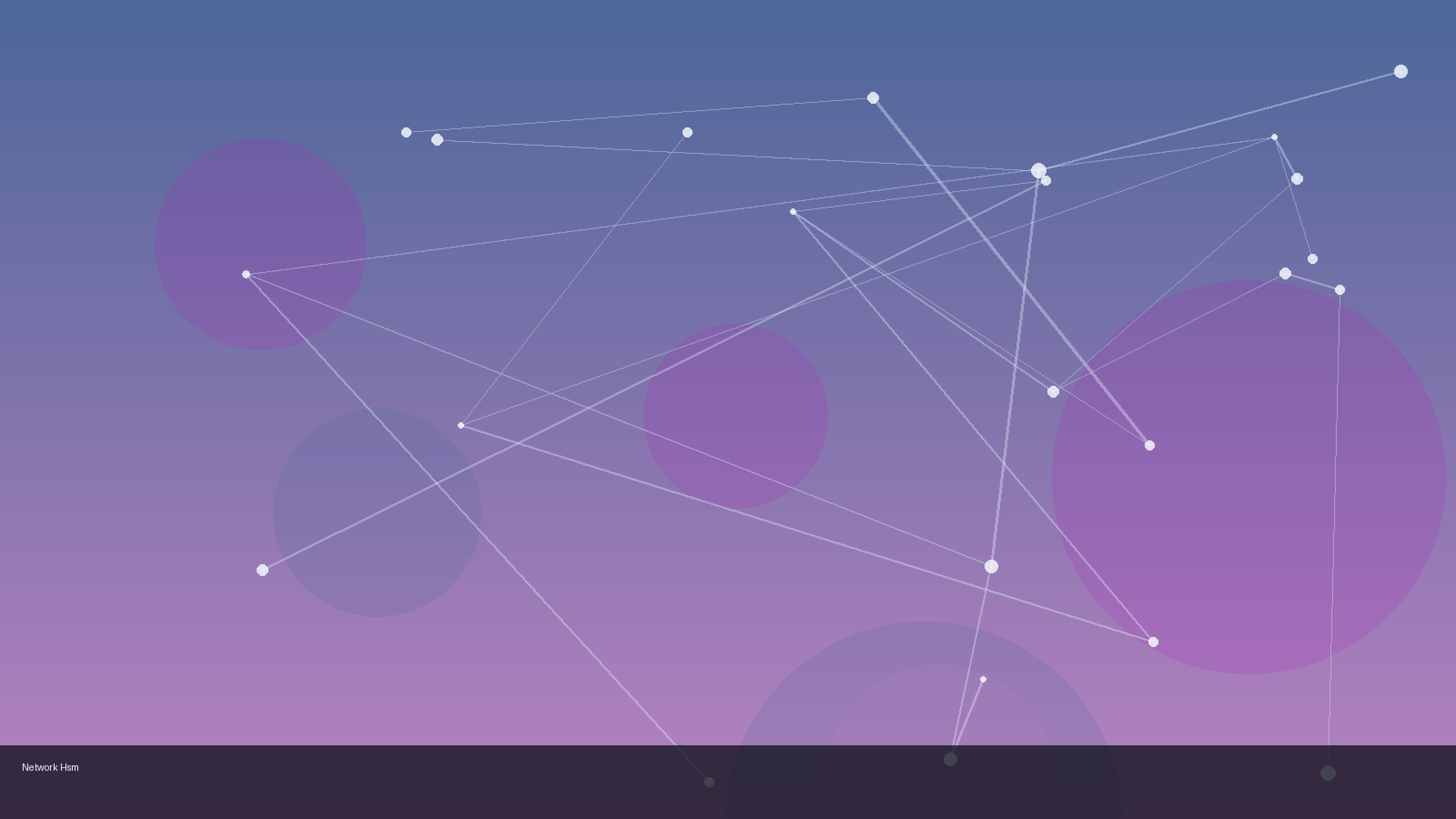 Safe Net Network HSM